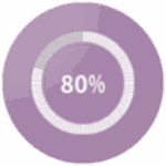 80 percent Icon